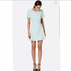 Topshop - NEW- Mint Fit and Flare Dress
